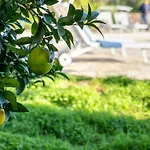 Villa Sardinia Re - Gialla
