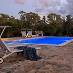 Sardinia Re - Gialla * Olmedo