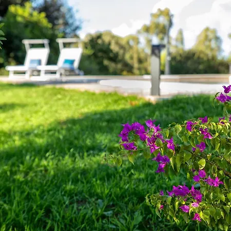 Sardinia Re - Gialla *