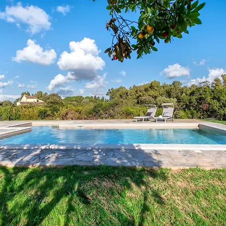 Sardinia Re - Gialla Olmedo