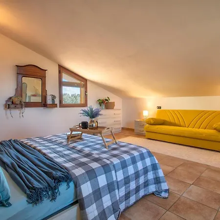 Sardinia Re - Gialla Willa *