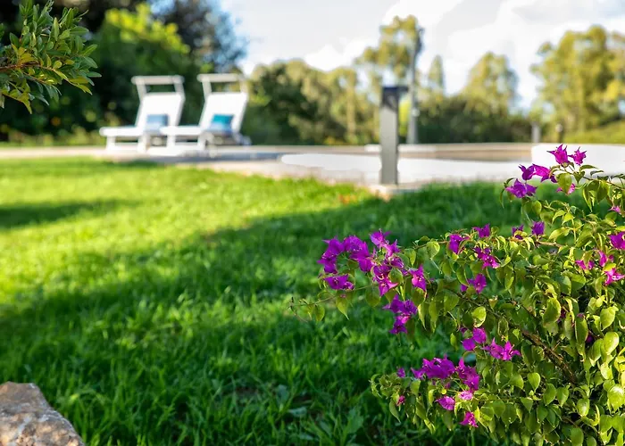 Sardinia Re - Gialla *