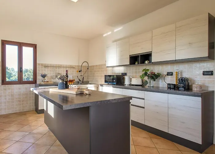 Sardinia Re - Gialla 奥尔梅多