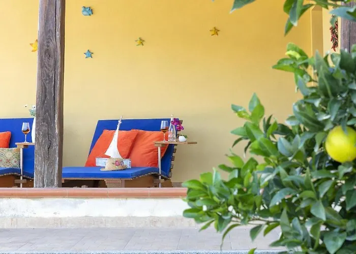 Sardinia Re - Gialla * 奥尔梅多