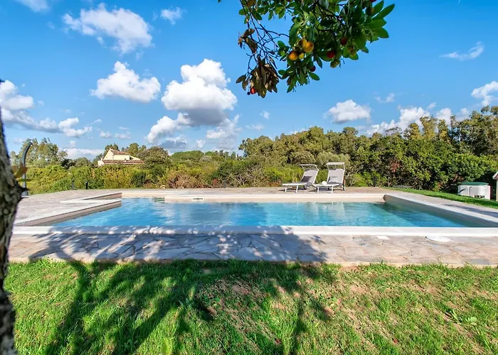 Sardinia Re - Gialla 奥尔梅多