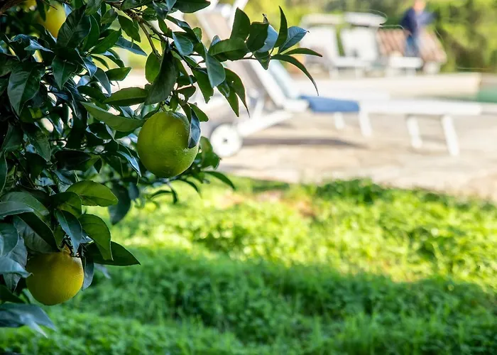 别墅 Sardinia Re - Gialla